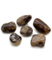 Bag of 6 Large African Tumble Stones - Jasper Nguni