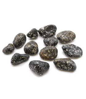 Bag of 12 Medium African Tumble Stones - Guinea Fowl Bag of 12 Medium