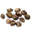 Bag of 12 Medium African Tumble Stones - Jasper Nguni