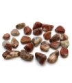 Bag of 24 Small African Tumble Stones - Light Jasper - Brecciated