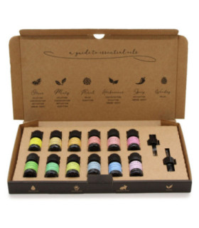 Experience Sensory Delight with Aromatherapy Essential Oil Set