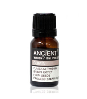 Cuminum Cyminum: Cumin Essential Oil with Antimicrobial Properties