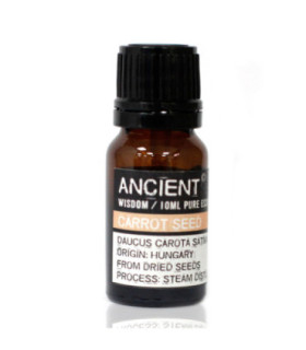 Carrot Seed Essential Oil: Benefits, Origin, and Extraction Method
