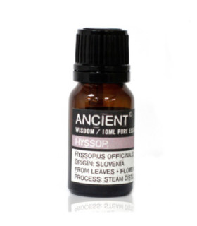 Huile essentielle d'hysope officinale : Extraction, bienfaits et utilisations