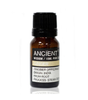 Ginger Essential Oil: Zingiber Officinale, its Origin, Uses, and Benefits