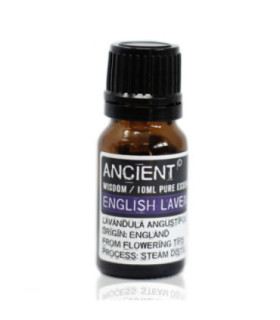 English Lavender Essential Oil: Lavandula Angustifolia - Origin & Uses