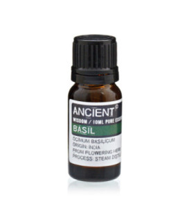 Basil Essential Oil: Benefits, Origin and Uses - Ocimum Basilicum