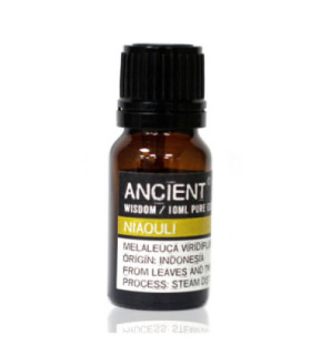 Niaouli Essential Oil: Therapeutic Benefits and Extraction Process