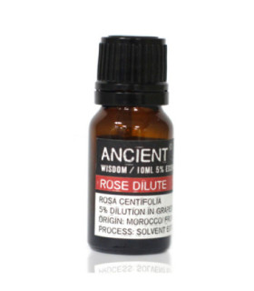Rosa Centifolia: The Amazing Benefits of Rose Dilute Essential Oil