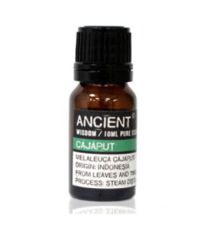 Cajeput Essential Oil: Uses, Benefits, and Extraction Method