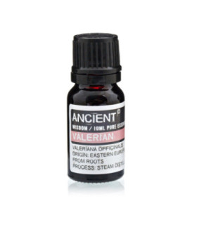 Valeriana officinalis: Valerian Essential Oil for Stress and Insomnia