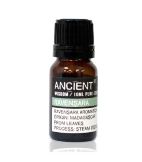 Ravensara Essential Oil: Antiseptic, Antibacterial & Antiviral Properties