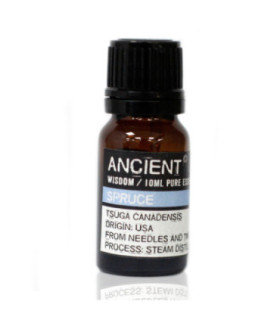 Spruce Essential Oil: Natural Healing and Aromatherapy Benefits
