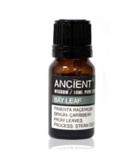 West Indian Bay: A Plant with Culinary and Medicinal Uses