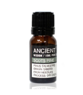 Pine Essential Oil: Health Benefits, Uses and Properties