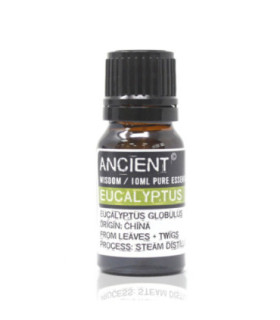 Eucalyptus Globulus Essential Oil: Origin, Usage and Benefits